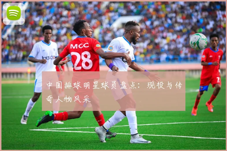 中国排球明星球员盘点:现役与传奇人物风采